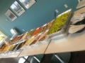 Corporate Lunch Custom Salad Bar